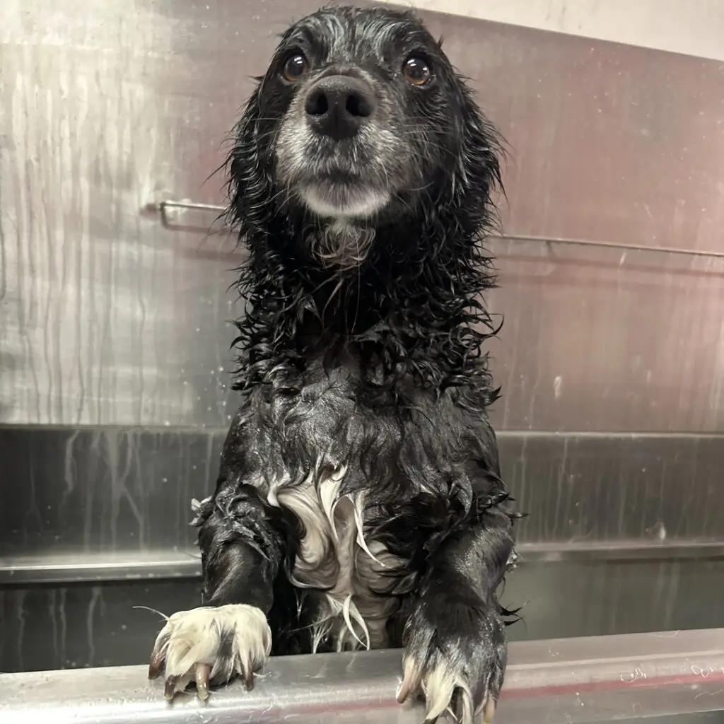DH_CAM-bath.jpg