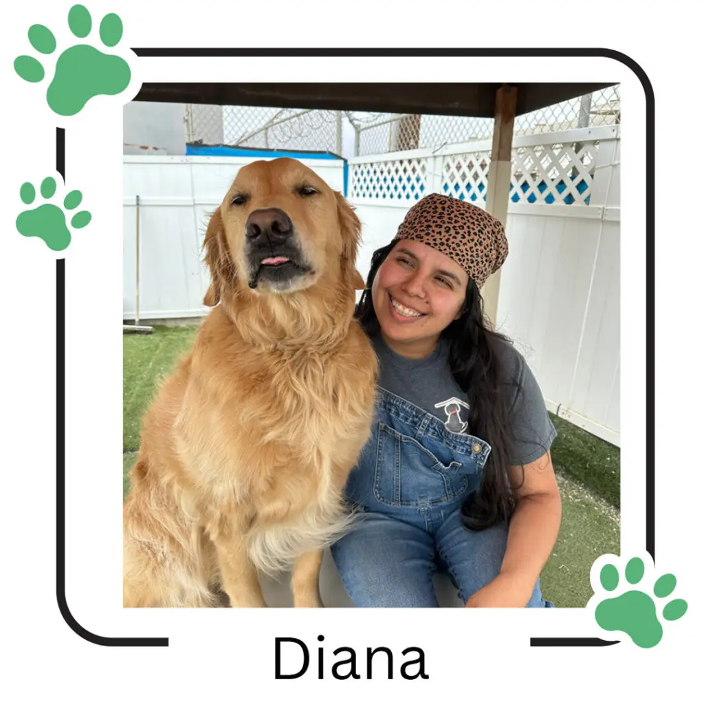 Our Dog House Ventura Staff