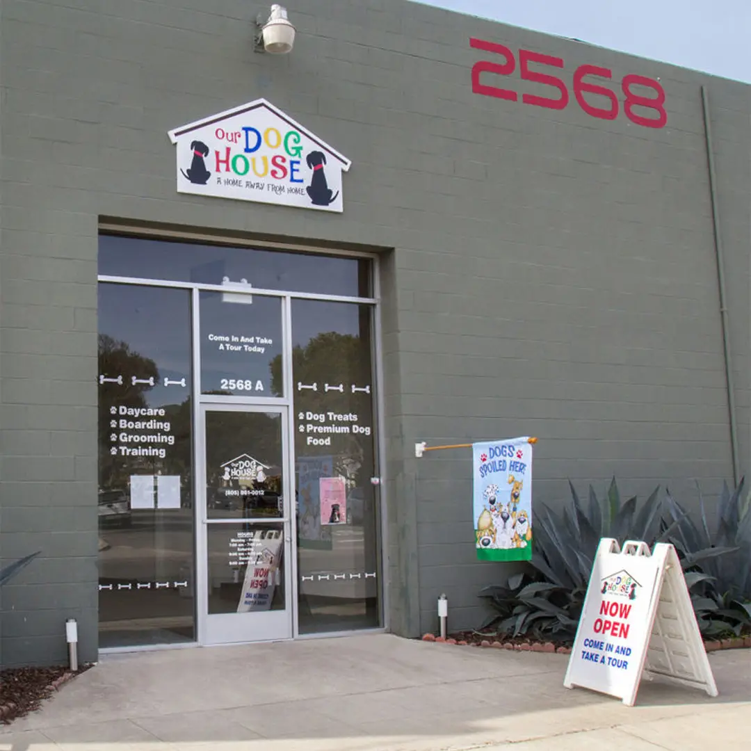 Dog House Ventura doggy daycare